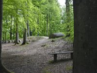 2015-05-14 12-23-59  HHH8645  NørreskovenRunddysse i Blommeskobbel
